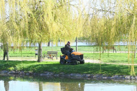 Fűnyírásról és gyepgazdálkodásról - több hektárnyi méhlegelő van Fehérváron
